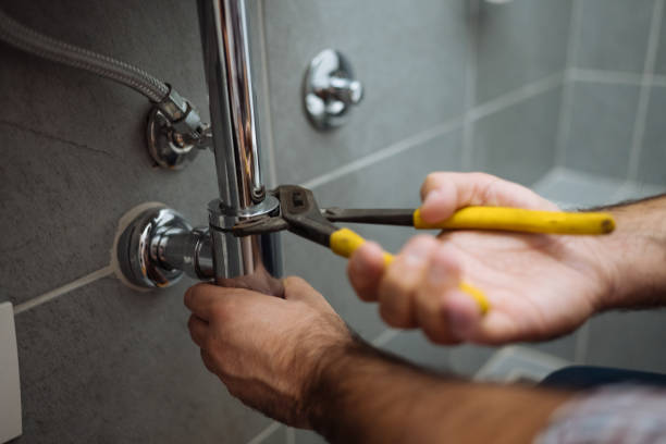 Best Local Plumber Services  in Roxboro, NC